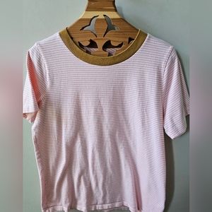Madewell Short Sleeve Tee with Pink Stripes and Gold Neckline